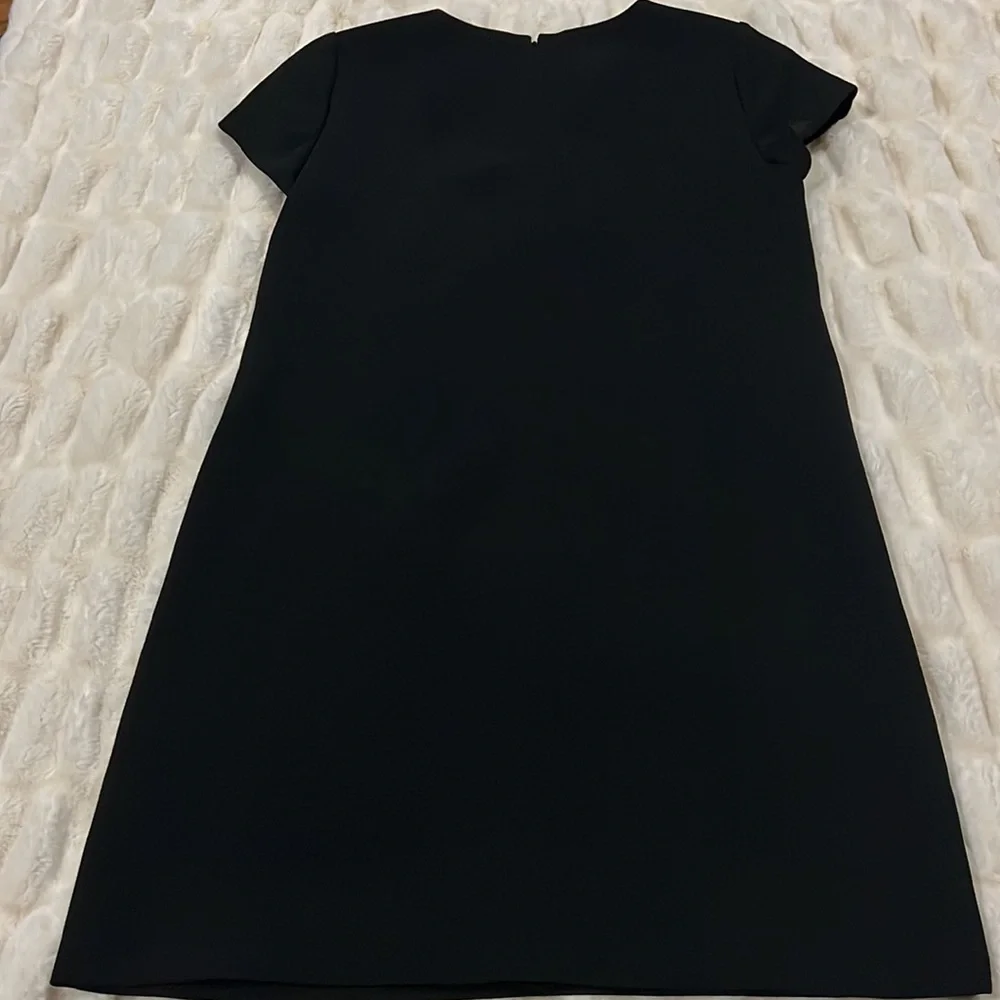 J Crew dress - Picture 6 of 8